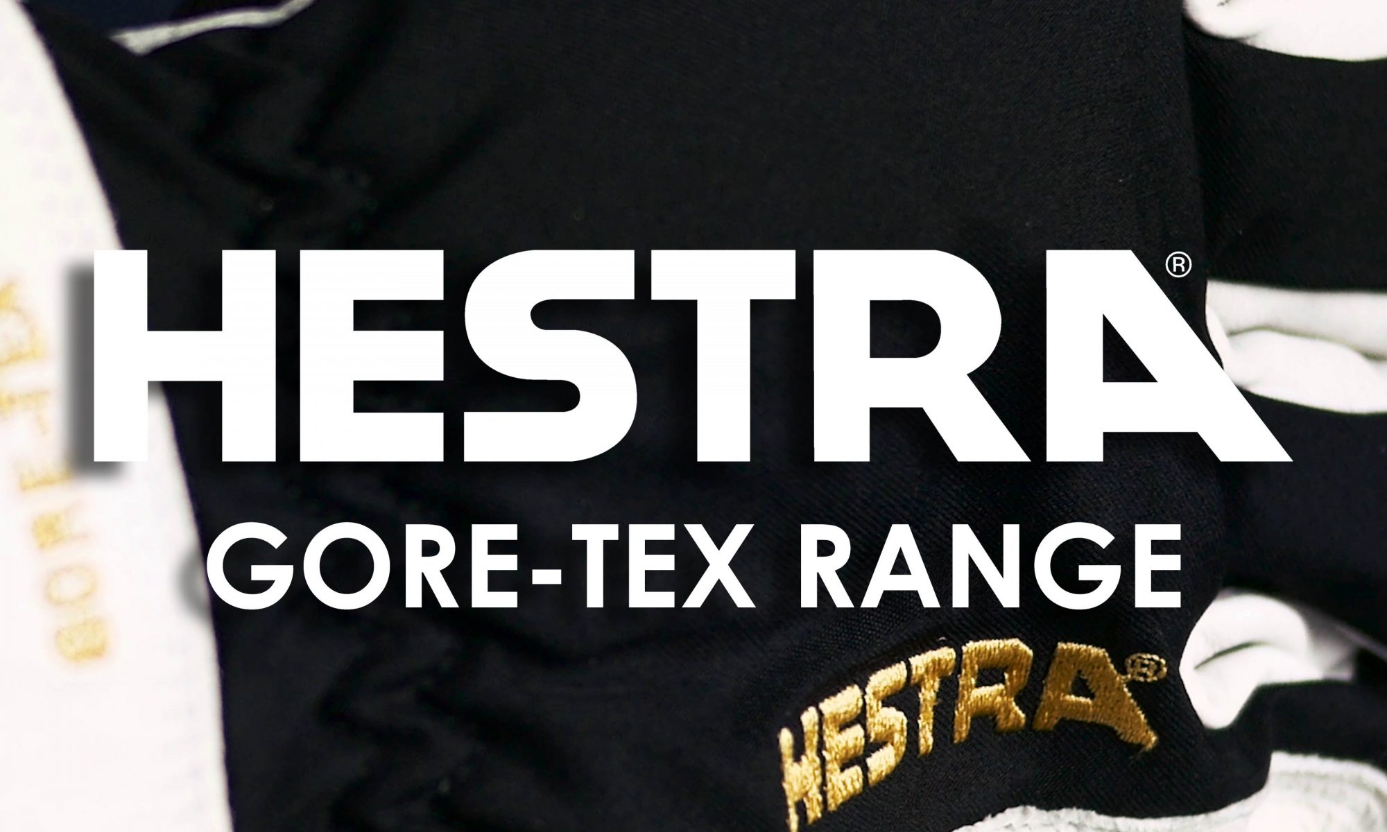 Hestra GORE-TEX Range